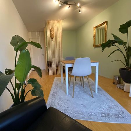 Limmatspitz Appartement Gebenstorf Buitenkant foto