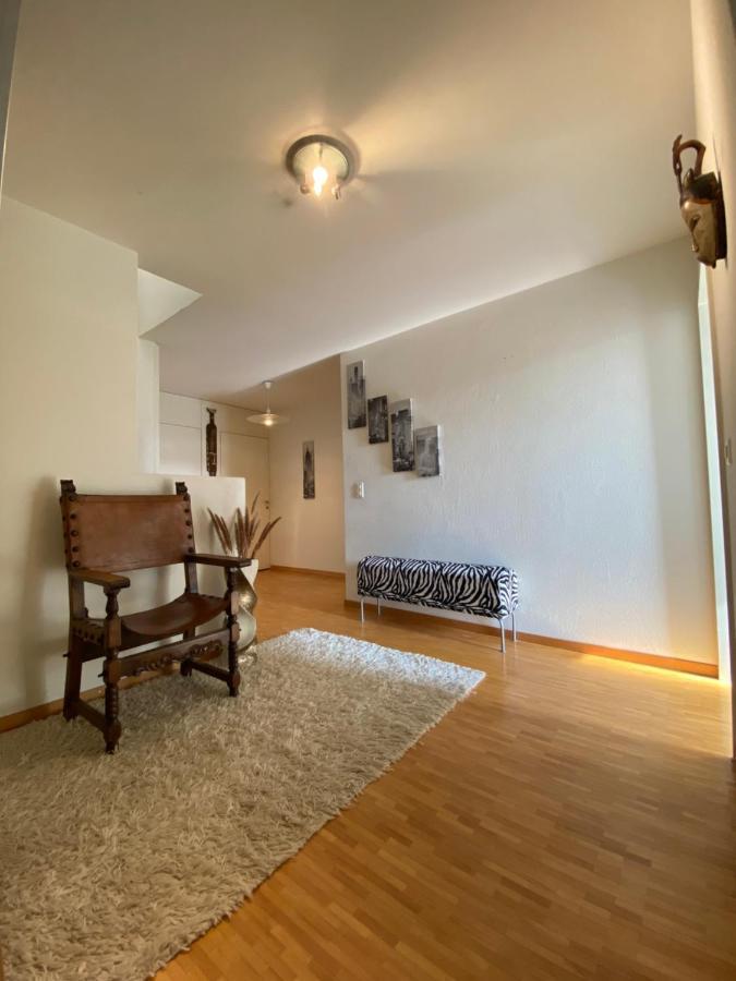 Limmatspitz Appartement Gebenstorf Buitenkant foto