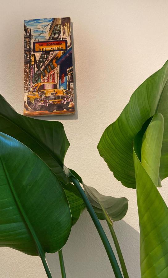 Limmatspitz Appartement Gebenstorf Buitenkant foto