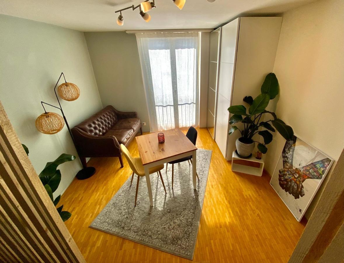 Limmatspitz Appartement Gebenstorf Buitenkant foto