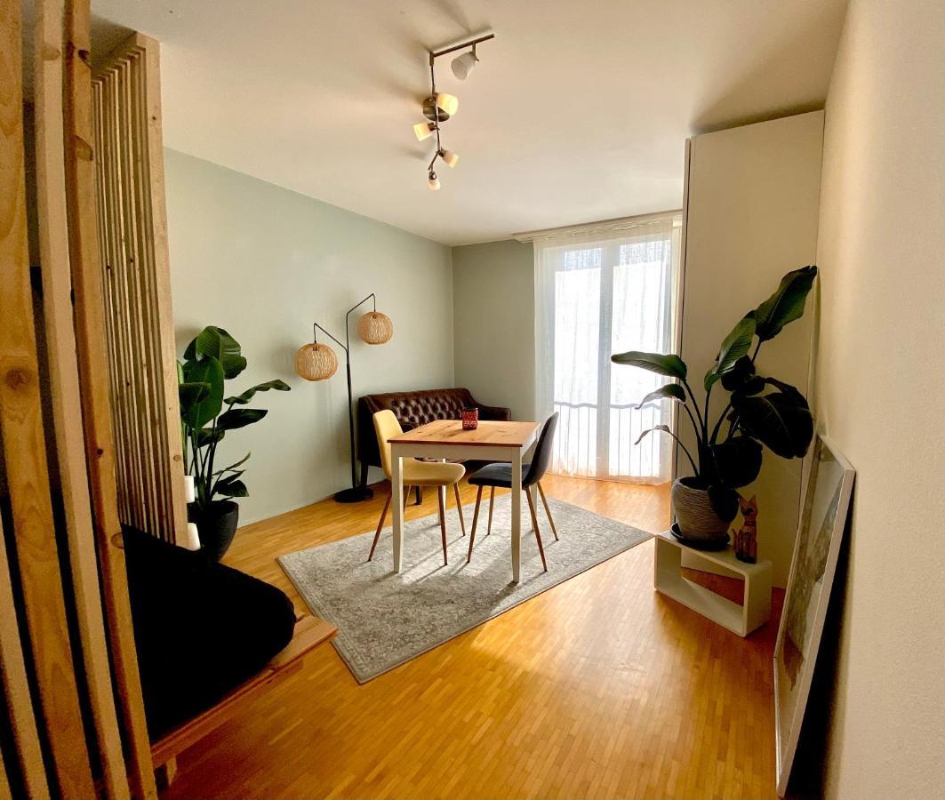 Limmatspitz Appartement Gebenstorf Buitenkant foto