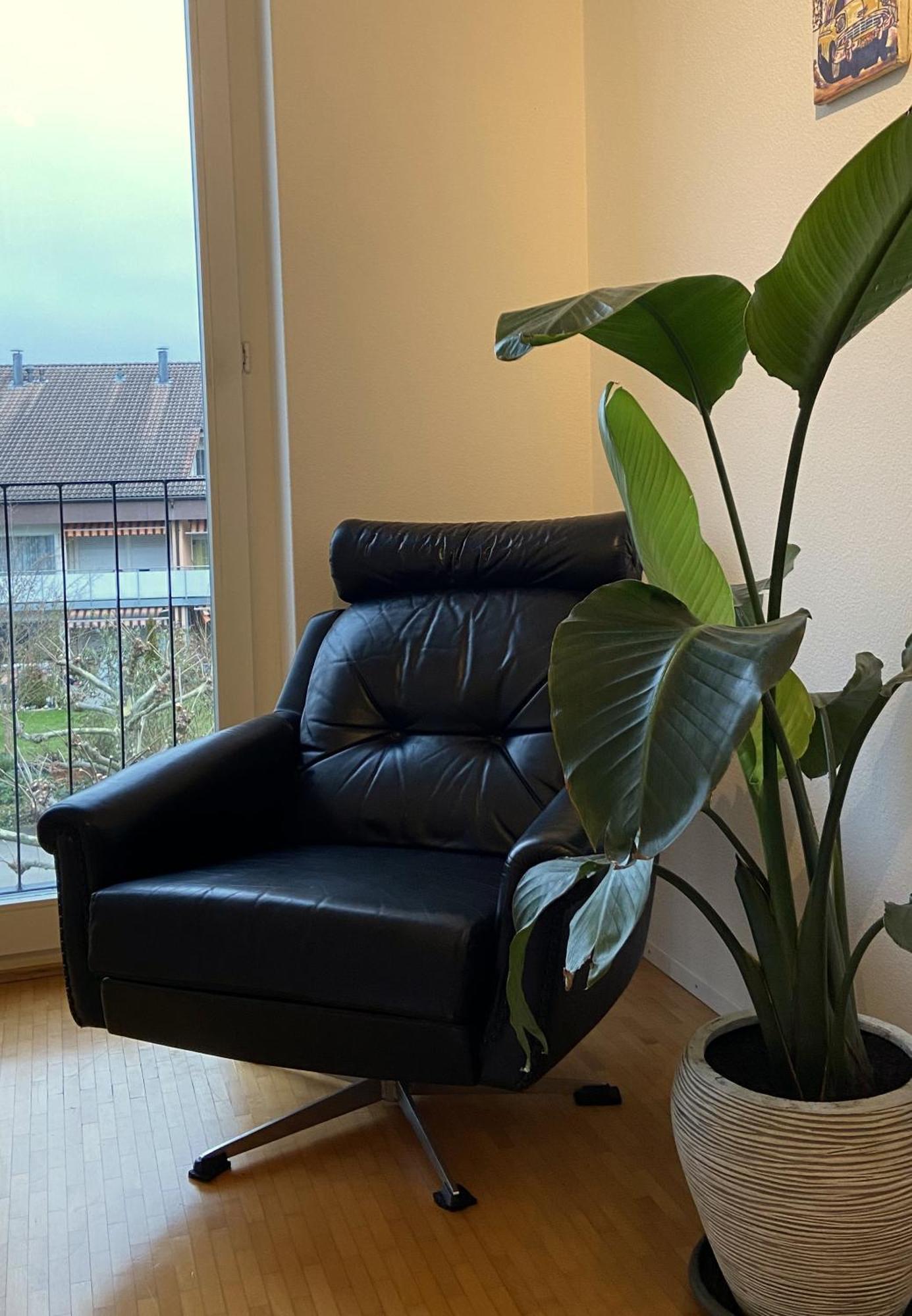 Limmatspitz Appartement Gebenstorf Buitenkant foto
